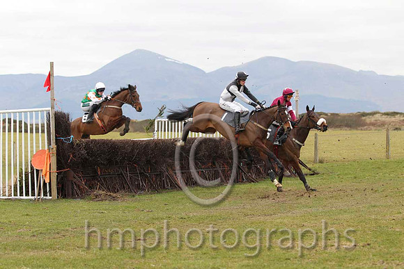 04 Butlersbridge & Derek O'Connor - 4th (1,black and white qtrd ) - FT8E0705-63