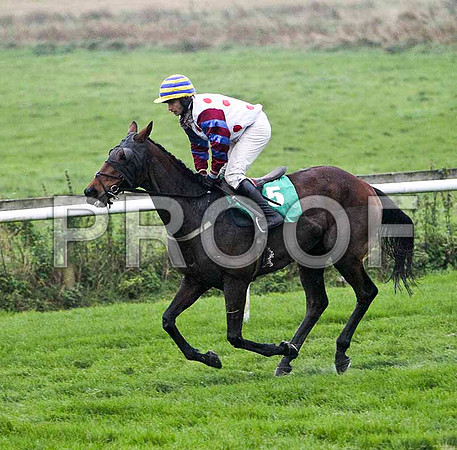 Rakamasi , PU - Jockey A P Crowe - FT8E5442-e