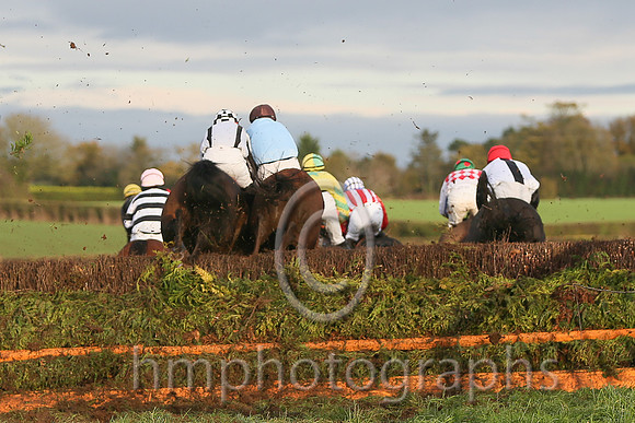 Touching at Iveagh Foxhounds Point to Point at maralin