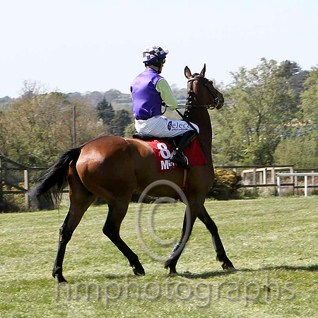 Epic Hero 13th, Jockey B T O'Connell - FT8E2135-e