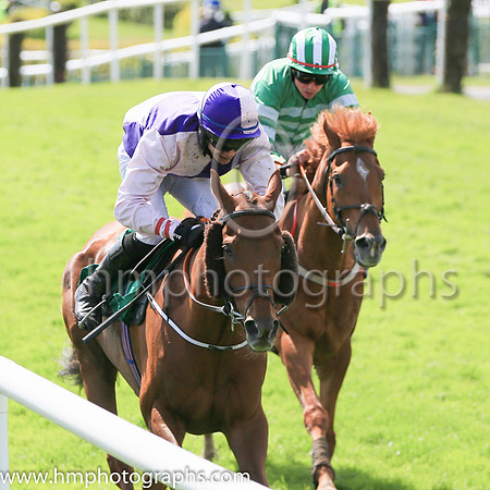 05th Very Excellent (3 ,pink and purple qtrd ) Jockey: P J O'Hanlon(2) ,Trainer: Andrew McNamara