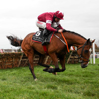 01st Poli Roi and Davy Russell (6, maroon, white star) Trainer Gordon Elliott, Owner Gigginstown