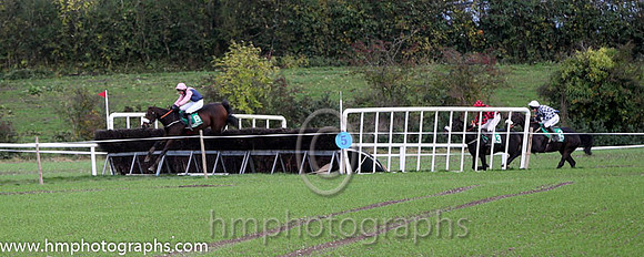 Race 5 County Down Hounds P2P at Loughbrickland