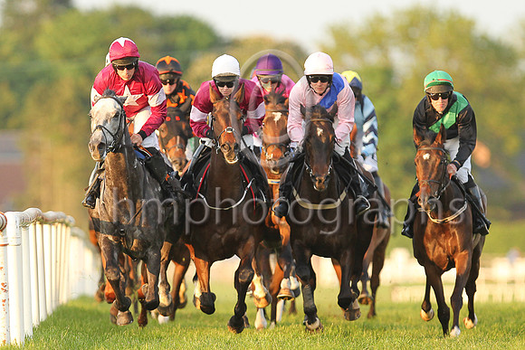 01st Moratorium and Ms L O'Neill 3 ( 6 , maroon, white star,white cap ) Trainer - G Elliott , Owner - Gigginstown House Stud