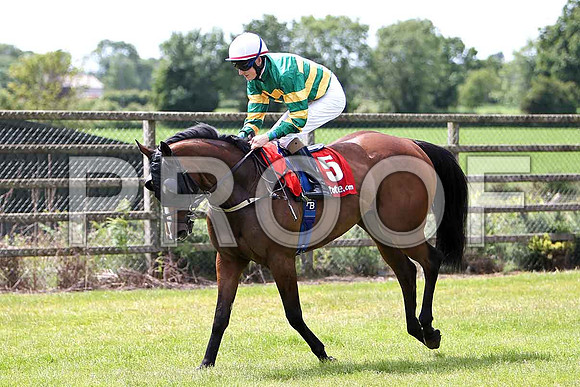 The Hamptons 5th, Jockey F M berry - CU2D0396-e