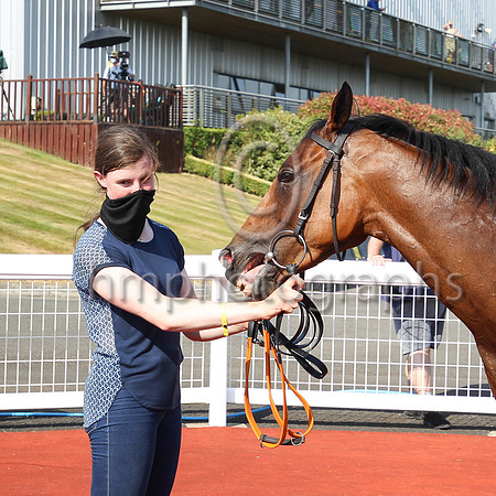 01st Ever Rock and Declan McDonagh (11. red, black seams)