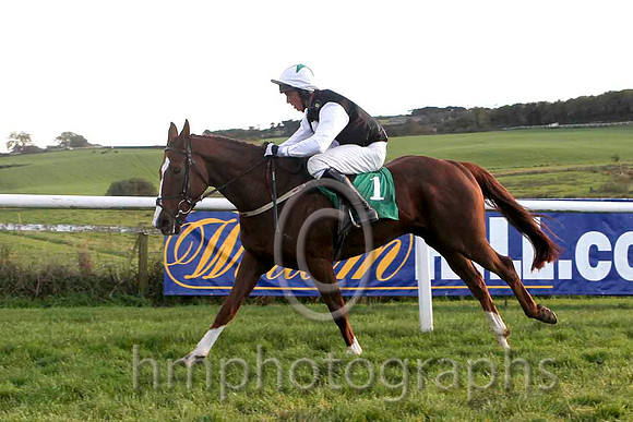 Bockey , Jockey Mr R O'Sullivan - 10th - FT8E4521-e