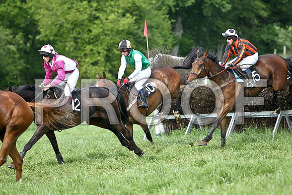 Fourth Race - Lustani Winner, Rider T D Geoghen, Kalmlough King (10) 6th, Rider N McParlan & The snuffler (15) 2nd, Rider B F Brabazon  - CU2D9606-e