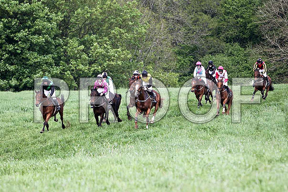 Fourth Race - High Chief (8) PU - in the lead, Rider Ms P O'Neill - CU2D9618-e2