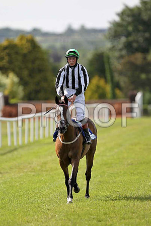 Frenka 3rd, Jockey C D Hayes  - FT8E1613-e