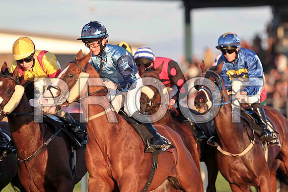 Beau Michael , Blue Ridge Lane , Golan Guy & Yankee Bright - CU2D9677-e2