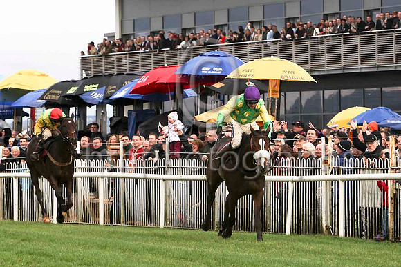 Kauto Star , Jockey Ruby Walsh - Winner followed by Sizing Europe , Jockey A E Lynch 2nd - CU2D1114-e2