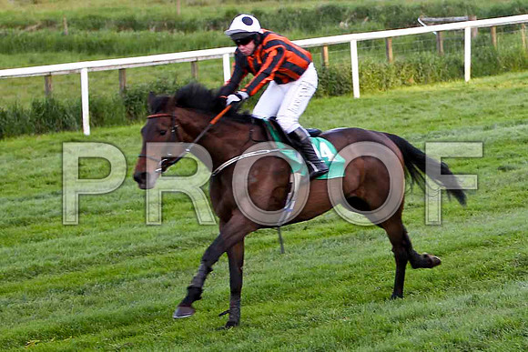 Alabama Baby , 6th, Jockey - Mr J P McKeown - FT8E3225-e