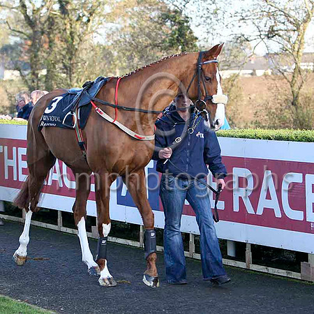 Leggy Lad - Winner , Jockey Mr M McConville - FT8E7158-e