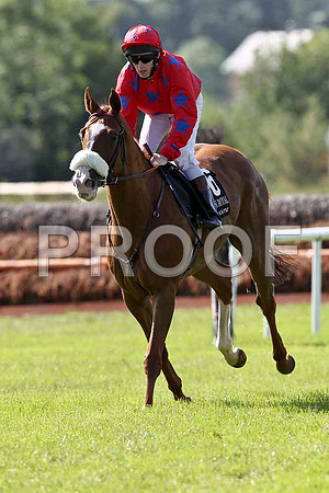Contra Mundum 8th, Jockey M C Hussey - FT8E1396-e