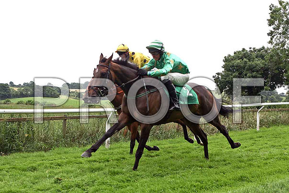 Tin Town Girl 9th, Jockey Mr R P McNamara & Blue Shirt Lily 10th, Jockey Mr R O'Sullivan - IMG_0427-e