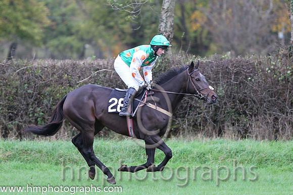 01 Lawless Island & R A Latta - winner (28, emerald green, orange spots) - FT8E9338-5