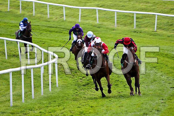 Smokey Joe Joe 2nd, Jockey Mr J E Burns & Henro Boy, Winner Jockey Ms K Walsh - CU2D1825-e
