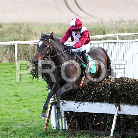 Robertstown Rover - winner -FT8E5045-e2