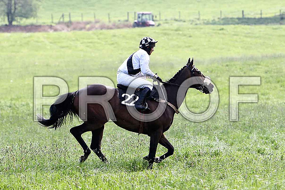 Race 6 Div 2 - Oldtown Wood (22) PU, Rider J J Gault - CU2D9835-e