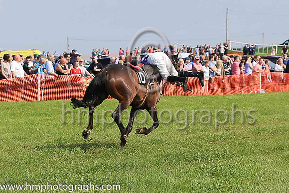 TULLYORIOR and R A Devine ( 10 , PURPLE; white sleeves; red cap,white star ) Trainer: Catherine Barry , Owner : Catherine Barry