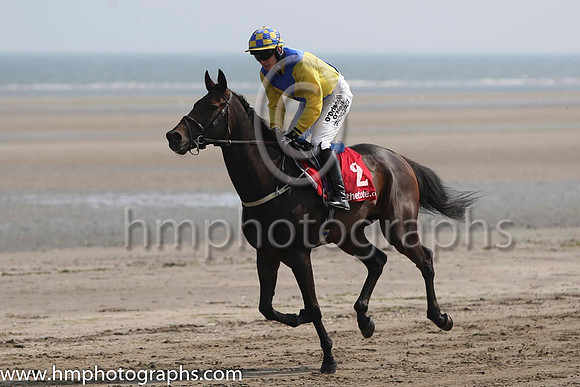 9 Elusive In Paris and P Townend - - 9th (2 ,yellow and royal blue diabolo ) Trainer - M C Grassick