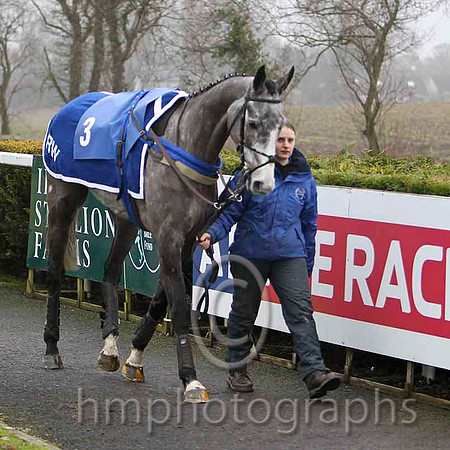 Yes Tom - Jockey A P THornton - 3rd - CU2D1765-e