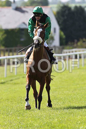 Munnings 6th, Jockey K J Manning - FT8E1398-e