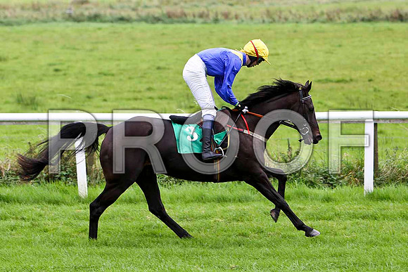 Emporfolly , Jockey K K Woods - 11th - CU2D2349-e