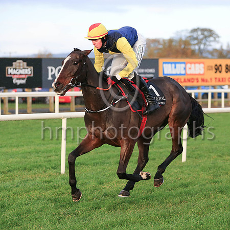 01st Realt Mor and K M Donoghue ( 1 , black, yellow diamond ) Trainer - G Elliott , Owner - Mrs P Sloan