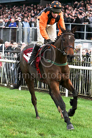 Killyglen , Jockey Paul Carberry - 5th - CU2D1131-e2