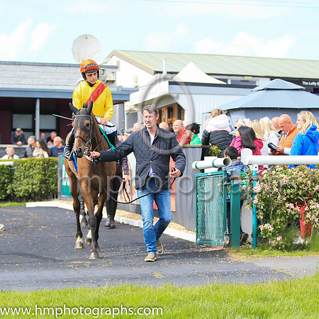 05th Churchtown Ruby (1 ,yellow, red sash ) Jockey: C Brassil(5) ,Trainer: Declan Queally