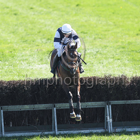 01st RATFACEMCDOUGALL and B G Crawford ( 3 , DARK BLUE,white cross of lorraine; white sleeves,dark blue armlet; white cap ) Trainer: S.R.B. Crawford , Owner : Greer Winnington