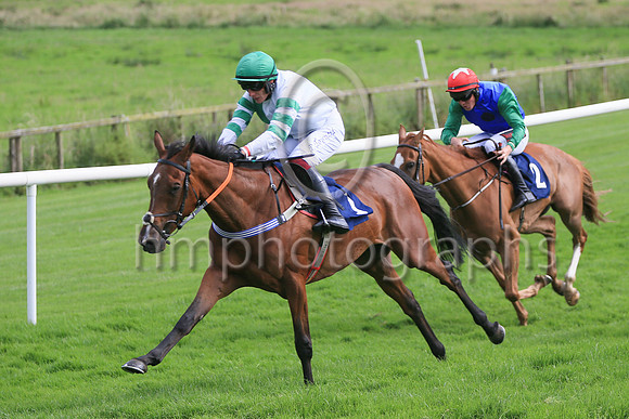 01st Another Choice (1 , green and white hlvs ) Jockey: Paul Townend , Trainer: Matthew J Smith