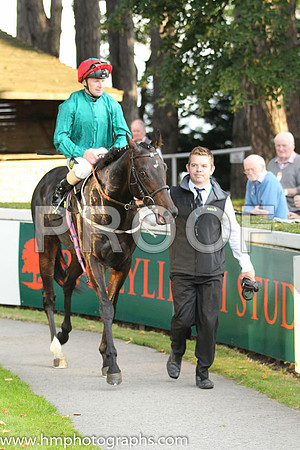 01 Bow Creek and J Fanning - - 01st (6 ,dark green, red cap ) Trainer - M Johnston