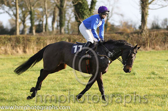 07 Gibbstown & Ms L O'Neill - 7th (11,royal blue, white panel ) - FT8E0710-96