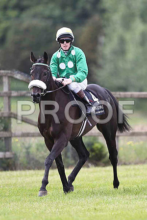 Torthai Beachta 3rd, Jockey C D Hayes - FT8E1510-e