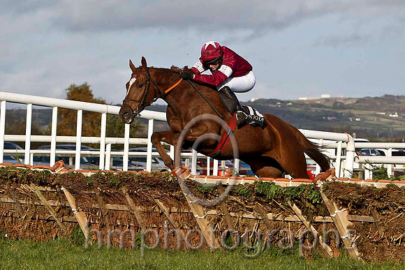 Beef To The Heels & Miss J M Mangan - winner (15,maroon, white star ) - FT8E7979-e2b