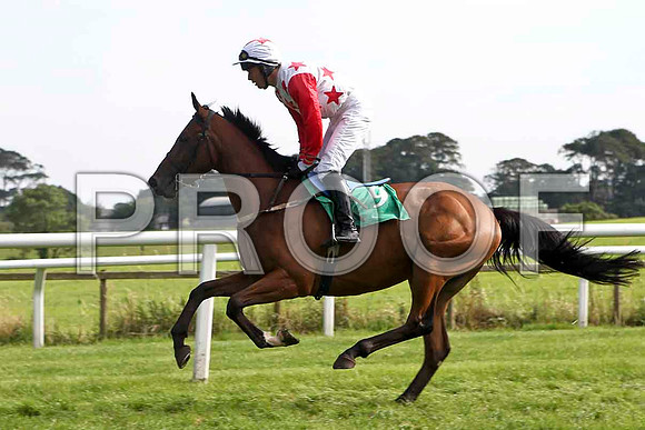 Smokey Joe Joe 2nd, Jockey Mr J E Burns - FT8E3182-e