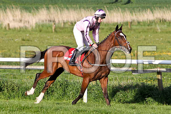 Saddler's Native , S, Jockey - M W Bowes - FT8E3074-e