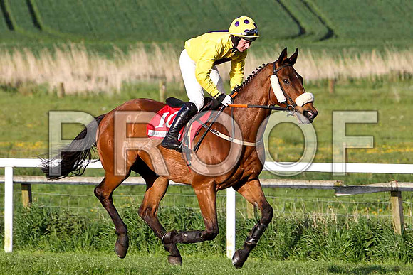 Rossbeigh , 8th, Jockey - A P Thornton - FT8E3073-e