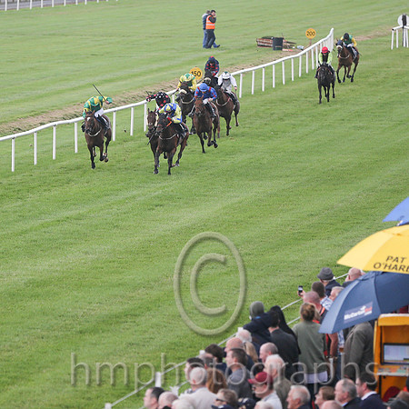 01st Rock On Rosie ( 1 , yellow, royal blue cross sashes ) and Shane Shortall (5) - Trainer : Adrian Brendan Joyce - Owner : Mrs Geraldine Devine