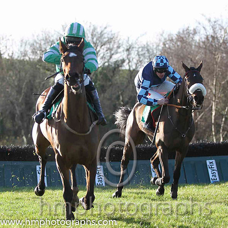 01 Rasco & R M Moran - winners (4, emerald green and white hoops) & 02 Royal Captain & D N Russell - 2nd (5, dark blue, light blue hoop) - FT8E1161-43