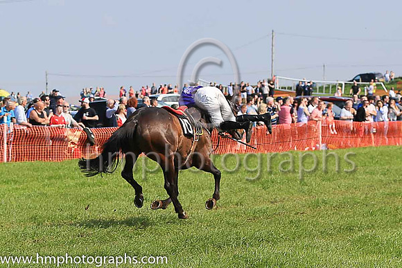 TULLYORIOR and R A Devine ( 10 , PURPLE; white sleeves; red cap,white star ) Trainer: Catherine Barry , Owner : Catherine Barry