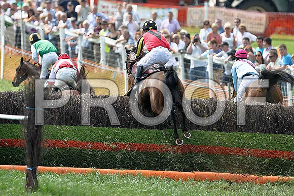 Fourth Race - Giuliana (7) Fell, Rider P C Greeves - FT8E0362-e