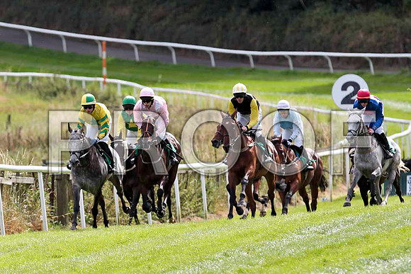 Black Rock Lake - Winner, Jockey P Townend in the lead- CU2D9391-e
