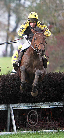 Ashes House , Jockey D L Queally - winner - CU2D9987-e2