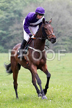 Budtairis , 4th, Jockey J J Codd -FT8E2687-e