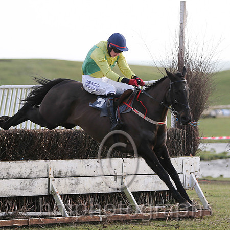 01 Mr Bolt  D H Lavery - Trainer : Sean McParlan, Black and tan check