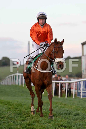 Toom Googly , 7th, Jockey Mr J P McKeown -FT8E3262-e